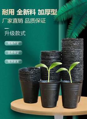 盆栽小号育苗专用盆一次性培育幼苗西瓜种子魔芋营养杯塑料盆种植