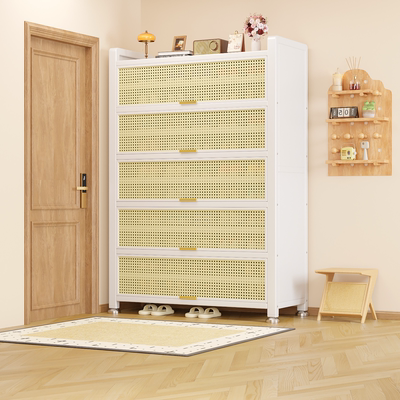 【2026新款】钢制鞋柜多层大容量