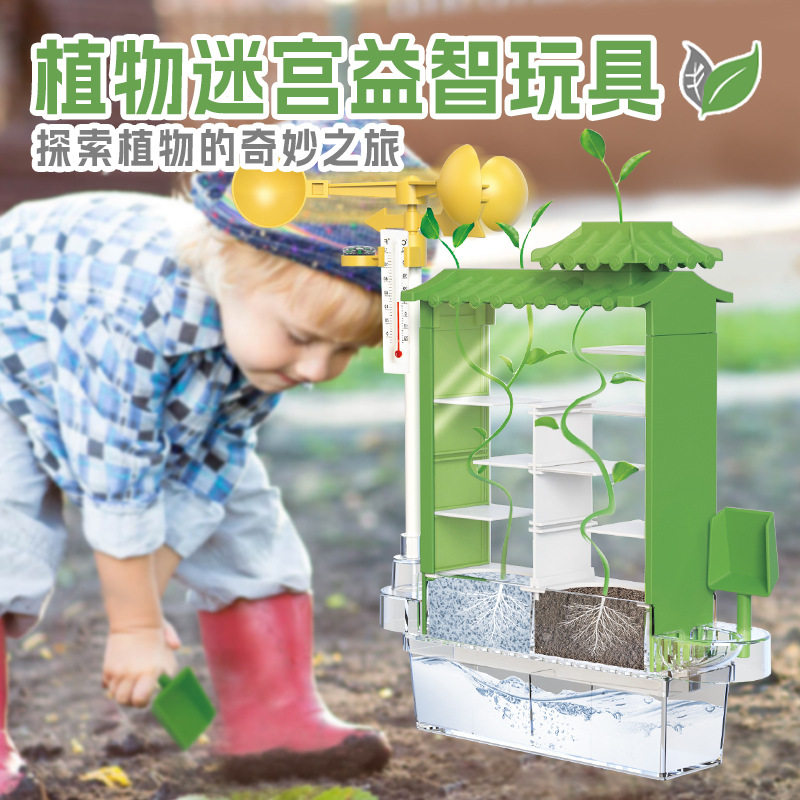 玩具植物迷宫学生儿童科学实验