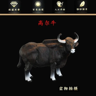 实心仿真动物玩具动物模型 白肢野牛高尔牛亚洲 儿童认知摆件