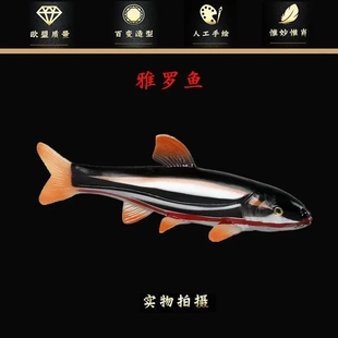 仿真实心海洋动物模型雅罗鱼箱根三齿雅罗鱼浮子鱼淡水鱼儿童玩具