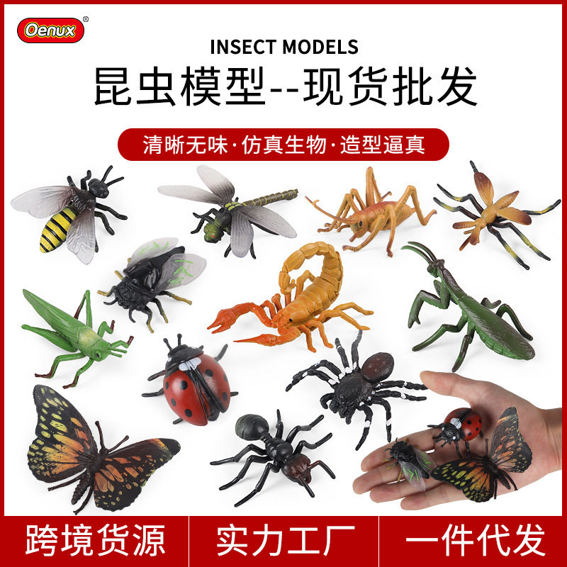 儿童认知早教仿真昆虫动物模型
