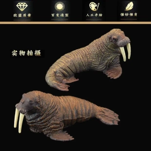 实心仿真海洋生物海象模型动物儿童认知玩具礼物仿真/动物玩偶