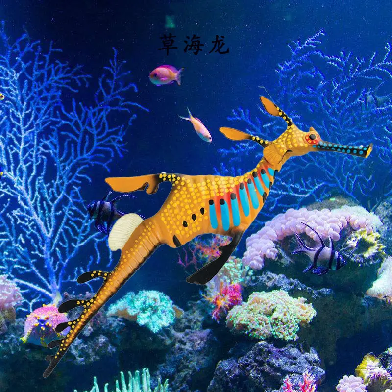 仿真实心草海龙海马藻龙海底动物