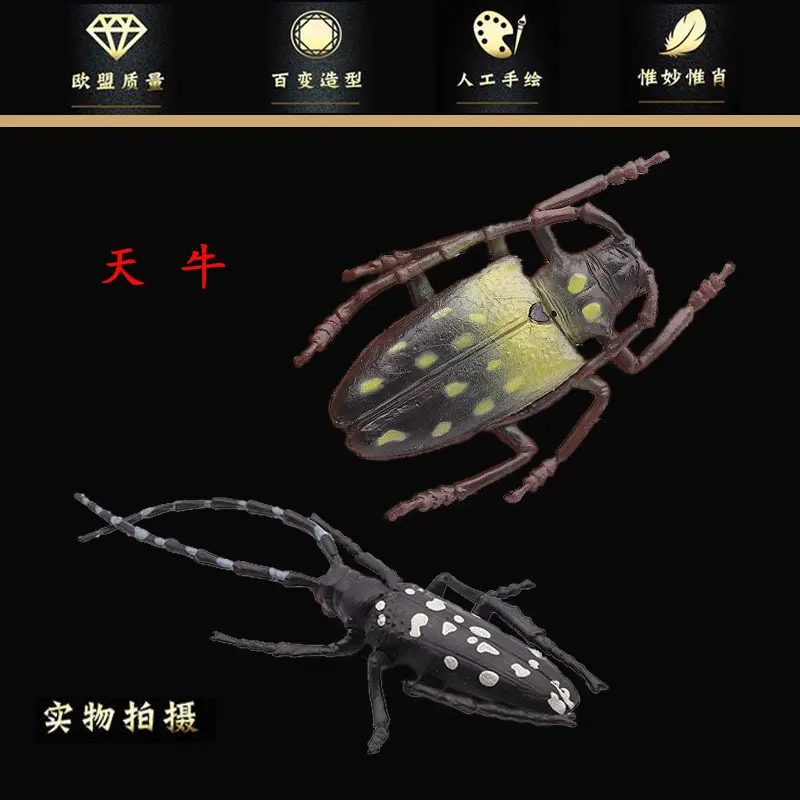 实心仿真昆虫玩具模型套装天牛