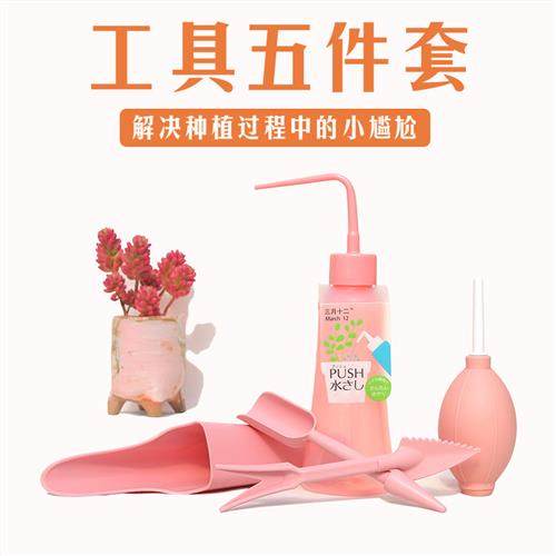 多肉植物工具日式肉肉工具套装 花卉绿植盆栽种植园艺种花工具,鲜花速递/花卉仿真/绿植园艺,铲子,淘宝优惠券,粉丝福利购,淘宝优惠卷