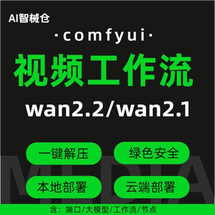 comfyui视频工作流wan2.2wan2.1大模型下载安装包AI远程安装服务