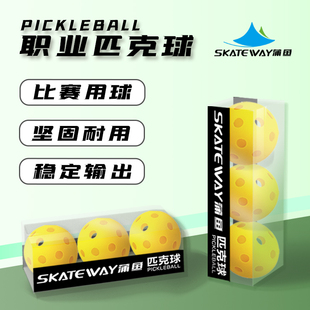 SKATEWAY蒲鱼匹克球室内室外洞洞球pickleball便携式 匹克球网架