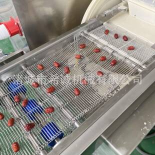 腰果仁巧克力涂层机蛋糕裹巧克力设备全自动不锈钢麻薯泡芙淋浆