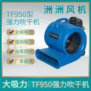 台州厂家TF950散热通风机强力吹干机地面地毯酒店宾馆清洁吹地机
