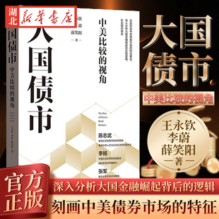 大国债市 中美比较的视角 王永钦 李蔚 薛笑阳 著 刻画中美债券市