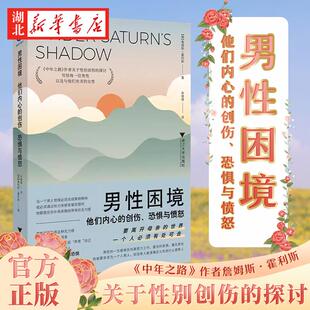 男性困境 他们内心的创伤 恐惧与愤怒 詹姆斯·霍利斯 著 《中年之路》作者关于性别创伤的探讨 写给每一位男性以及有关的女性正版