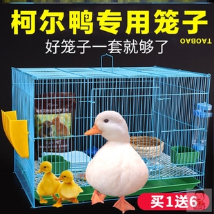 小鸭子笼子家用养柯尔鸭小鸡专用的笼大号自动清粪便小鸭住的房子