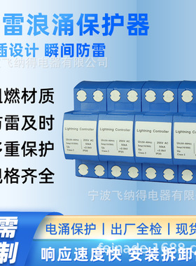 飞纳得NKP-DY-IIIU-32a浪涌保护器防雷漏电保护器220v开关防雷电