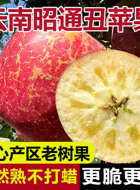 云南昭通正宗冰糖心丑苹果2025当季现摘整箱新鲜水果邵通基地直销