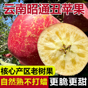 云南昭通正宗冰糖心丑苹果2025当季 现摘整箱新鲜水果邵通基地直销