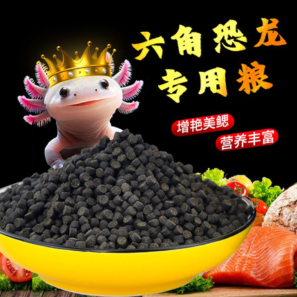 蝾螈六角恐龙鱼饲料六角龙高蛋白方下沉底型鱼食粮饲料宠物专用