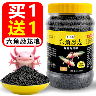东方蝾螈专用鱼粮六角恐龙鱼饲料娃娃鱼六角龙六六沉底鱼食小颗粒