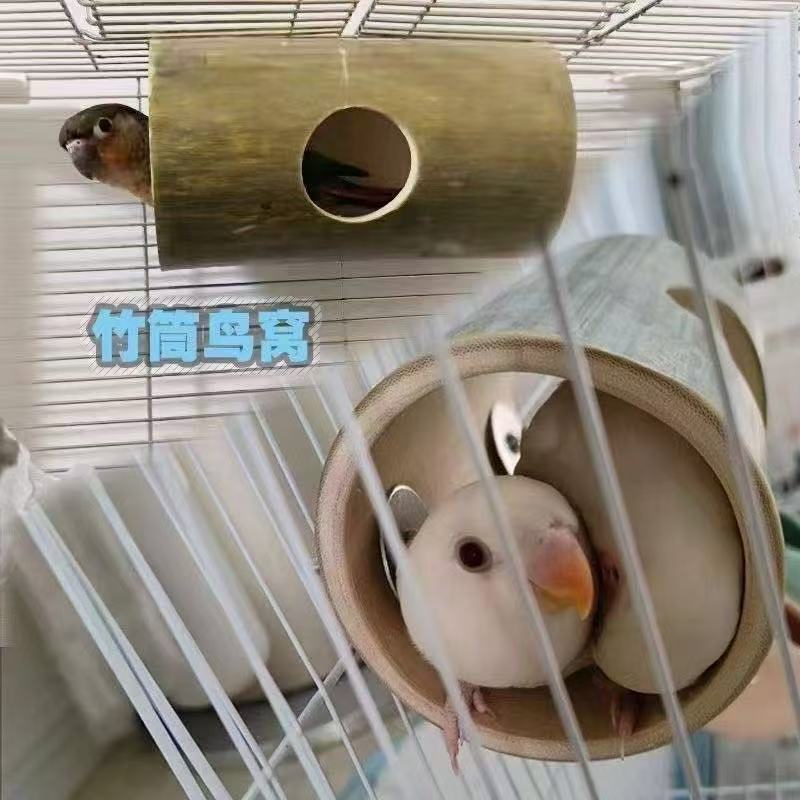 鸟窝天然竹筒啃咬无害虎皮牡丹玄风躲避屋攀爬树洞磨爪隧道鹦鹉窝