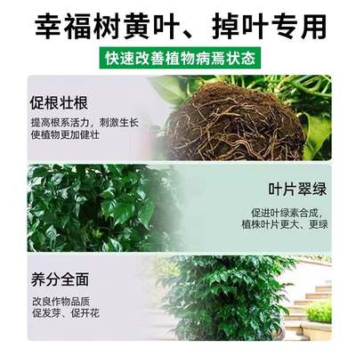 幸福树专用肥料喜酸性植物营养液发财树黄叶复合肥植物通用型花肥