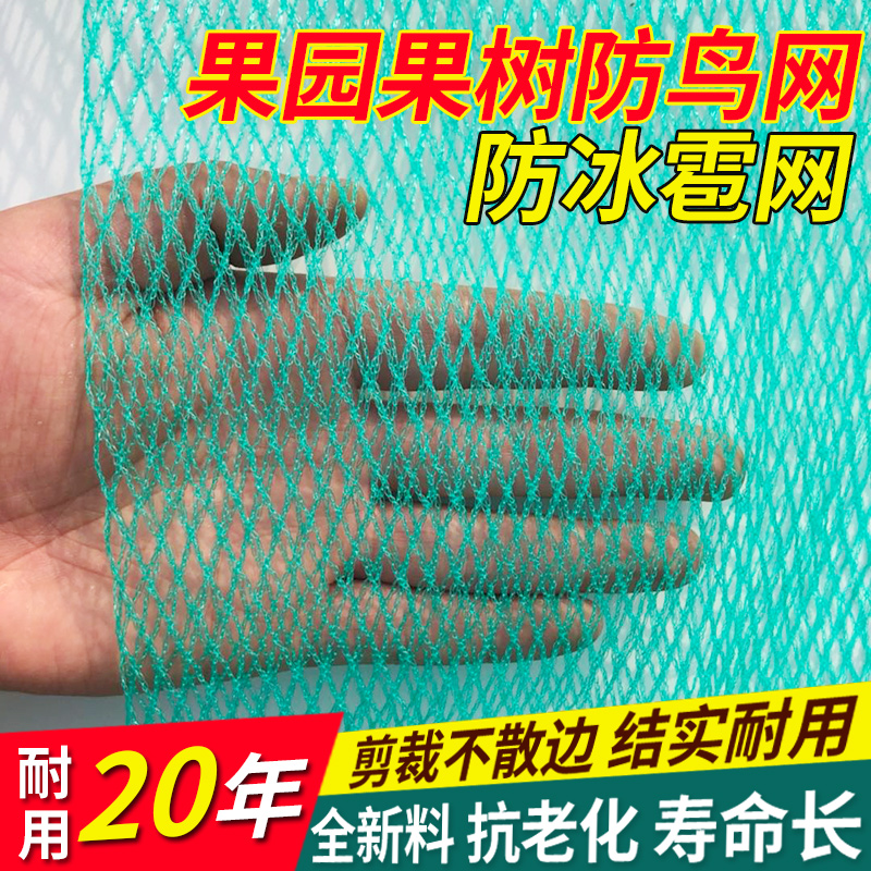 果园果树防鸟网养鸡养殖网樱桃蔬菜尼龙网阳台围栏防护防雹
