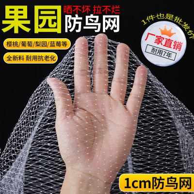 尼龙防鸟网果园果树新料加粗耐用