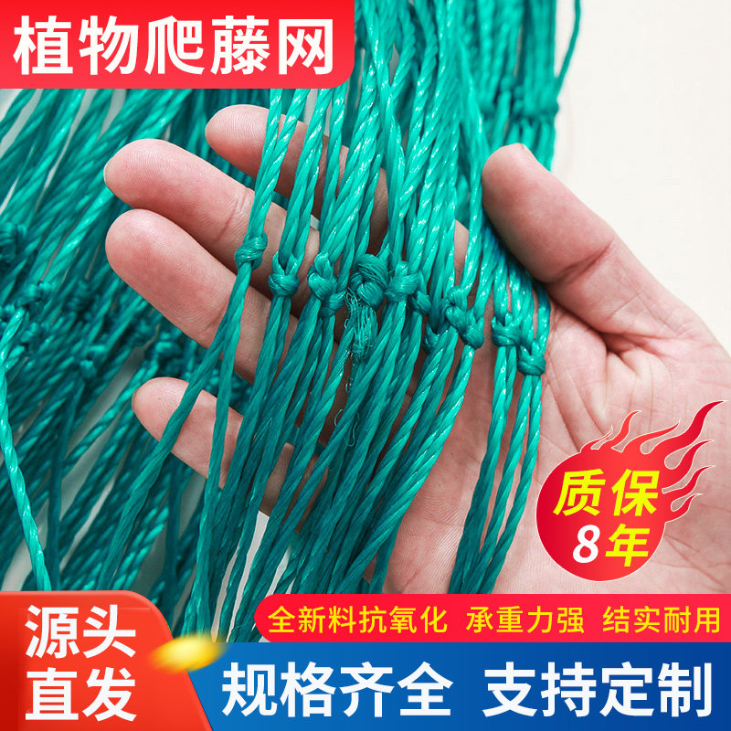 植物爬藤网攀援网葡萄搭架网瓜果丝瓜苦瓜月季藤蔓花卉攀爬种植网
