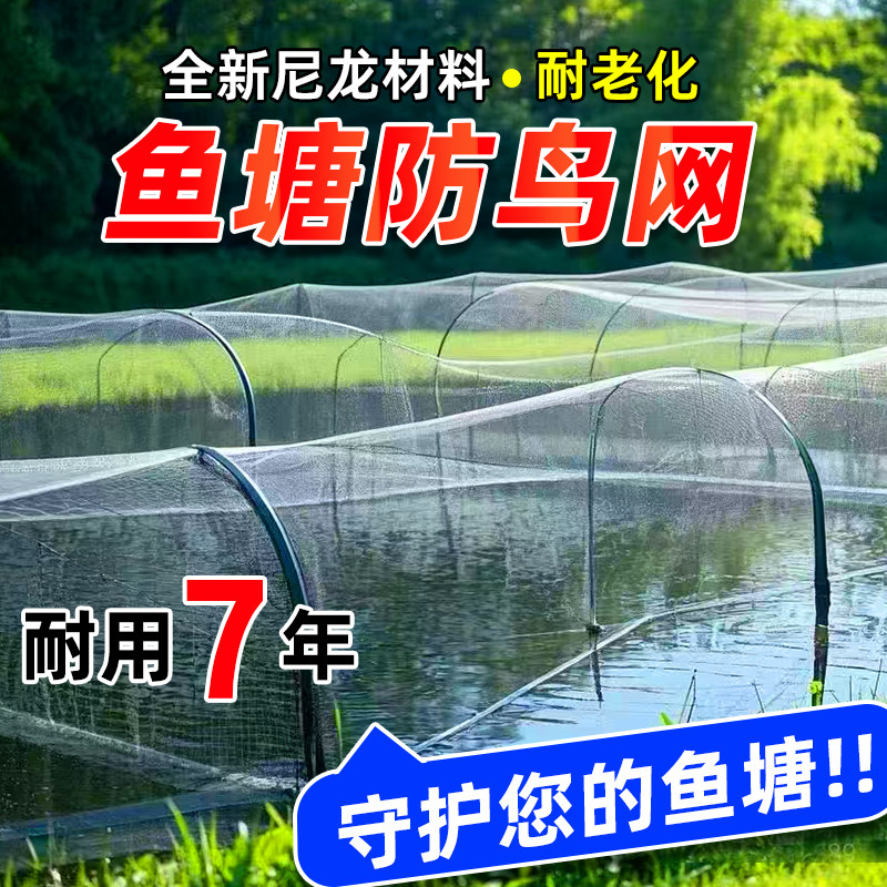 鱼塘防鸟网养殖网农田防大型鸟青蛙泥鳅锦鲤养殖场防鸟天网防护网