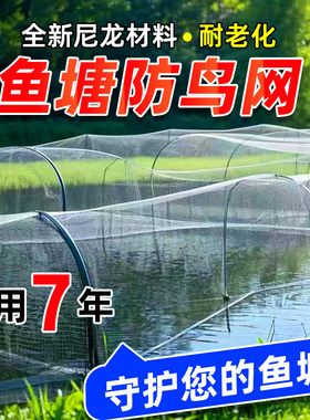 鱼塘防鸟网养殖网农田防大型鸟青蛙泥鳅锦鲤养殖场防鸟天网防护网