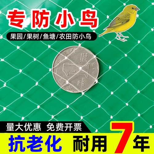 防鸟网果树果园防小鸟专网大棚尼龙线防乌网鱼塘阳台樱桃树葡萄树