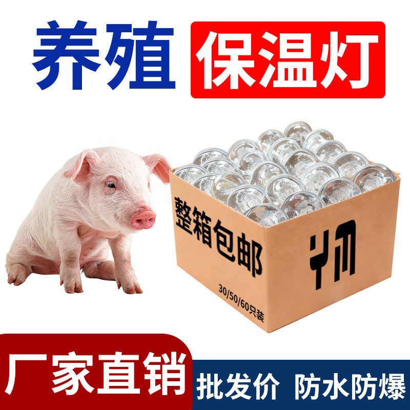 小鸡育雏保温专用灯泡兽用鸡舍
