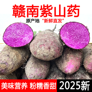 新鲜现挖赣南特产脚板薯紫玉淮山紫色山药参薯淮山紫大薯5斤 薯蓣