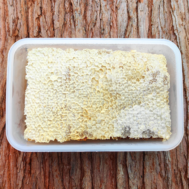 野生蜂巢蜜嚼着吃纯正天然原生态成熟新巢蜜500g