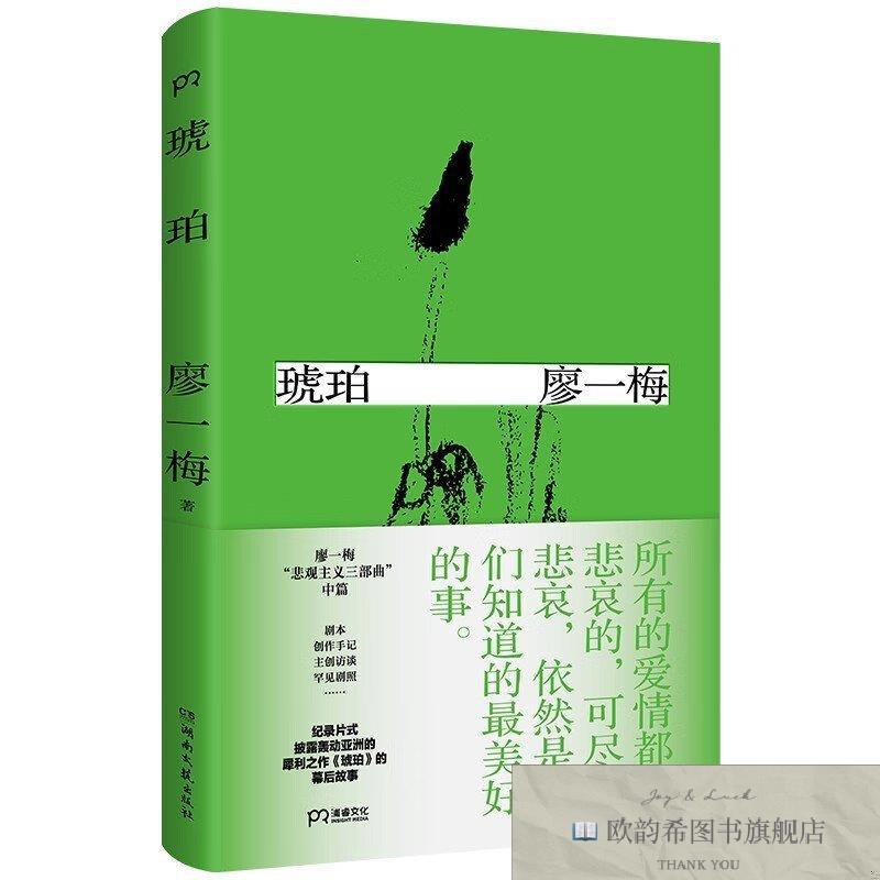 全新正版廖一梅悲观主义三部曲:琥珀佚名湖南文艺出版社