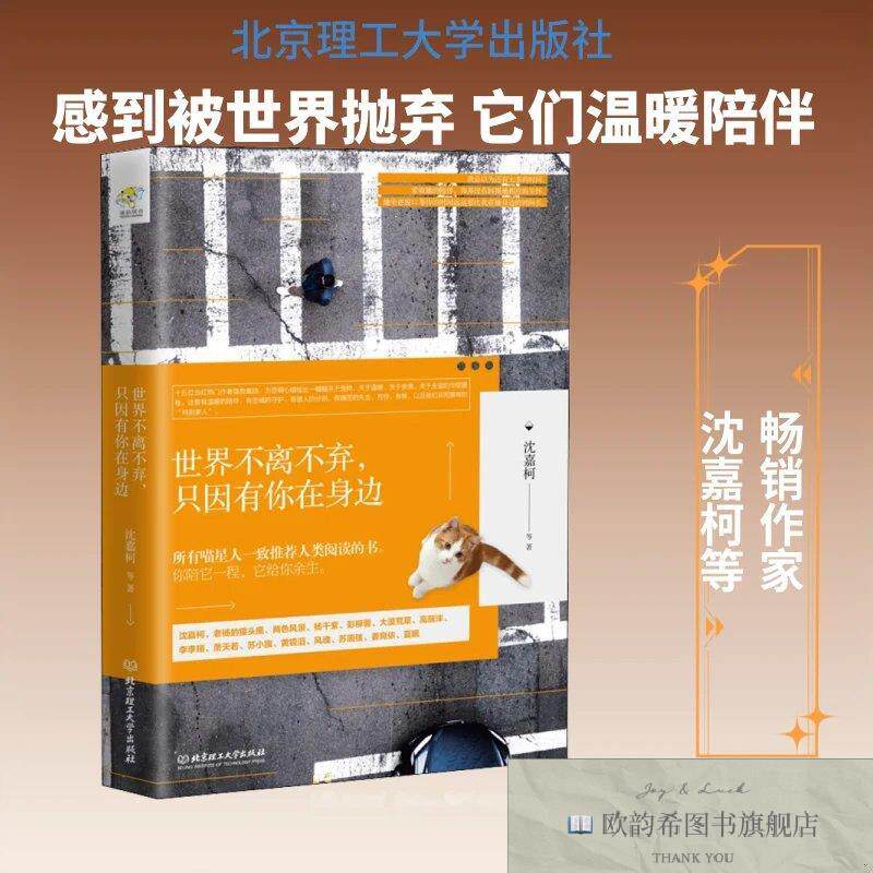 全新正版世界不离不弃,只因有你在身边沈嘉柯 等 著9787568211123