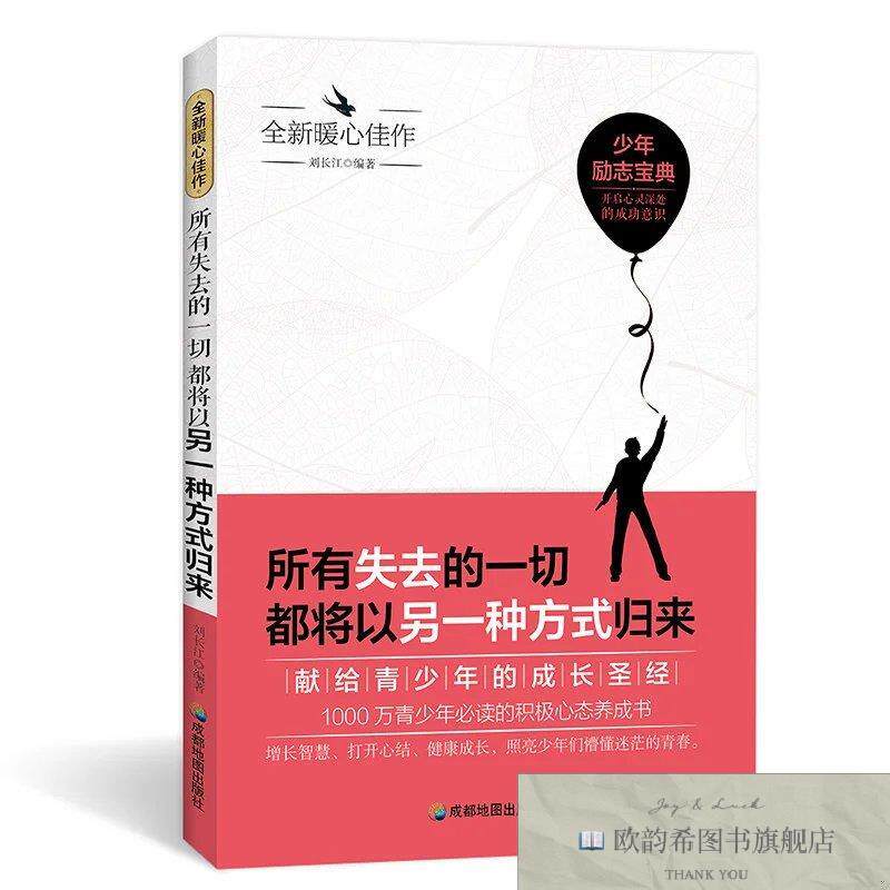 全新正版少年励志 所有失去的一切都将以另一种方式归来 _kb刘少