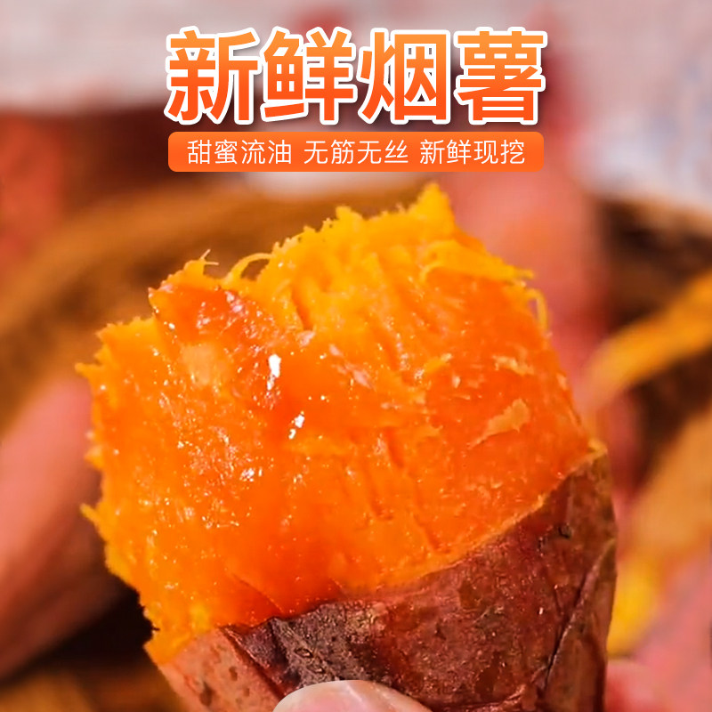 山东烟薯25号农科院糖心地瓜新鲜沙地烤山芋稀瓤红薯农家自种番薯