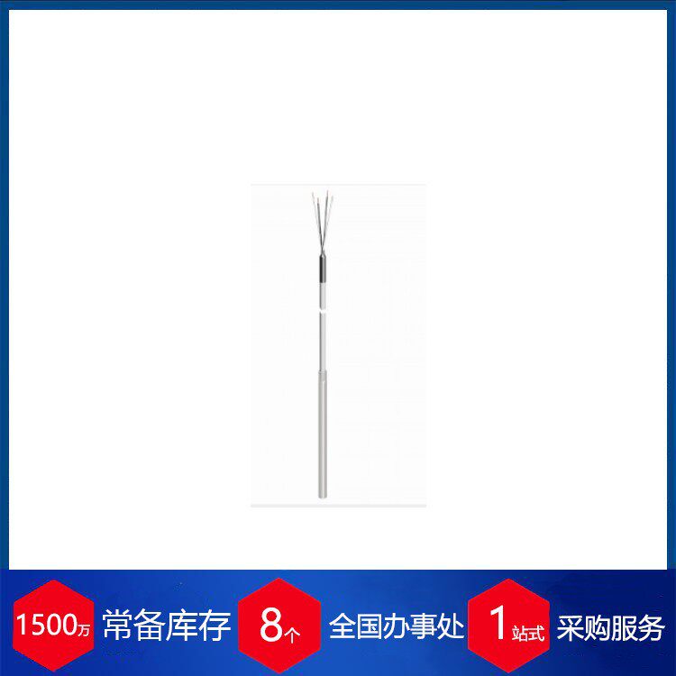 瑞士ROTH+CO.AG 自由端杆式温度传感器W609.3L.06 0X0440.3