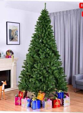 Christmas tree Encrypting Christmas Branches跨境出口香港台湾