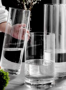 Vase furnishing articles flower arranging transparent glass