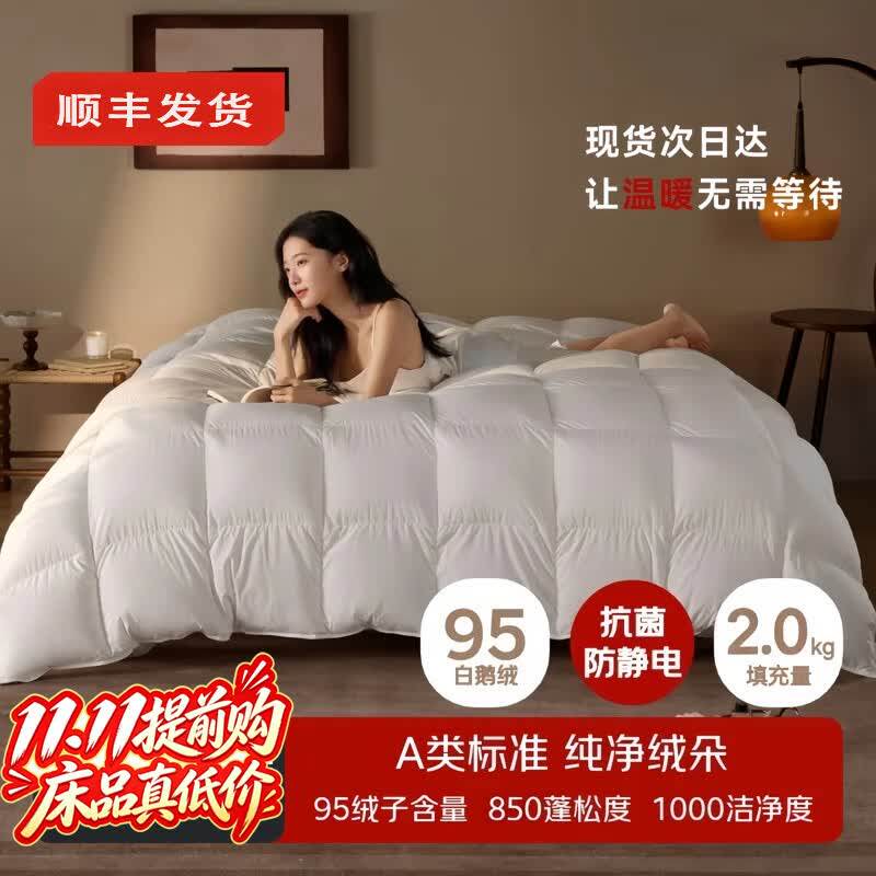 奢世希尔顿95白鹅绒冬季羽绒被芯