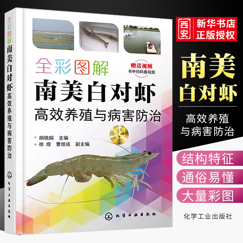正版全彩图解南美白对虾高效养殖与病害防治 化学工业出版社 养殖池塘环境调控技术 主要养殖模式 病害综合防控技术 对虾养殖书籍