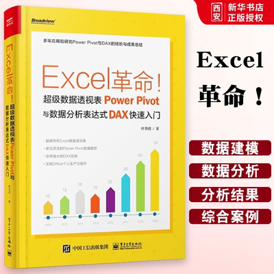 正版Excel革命 超级数据透视表Power Pivot与数据分析表达式DAX快速入门 林书明 电子工业出 数据模型与DAX表达式 excel数据分析书