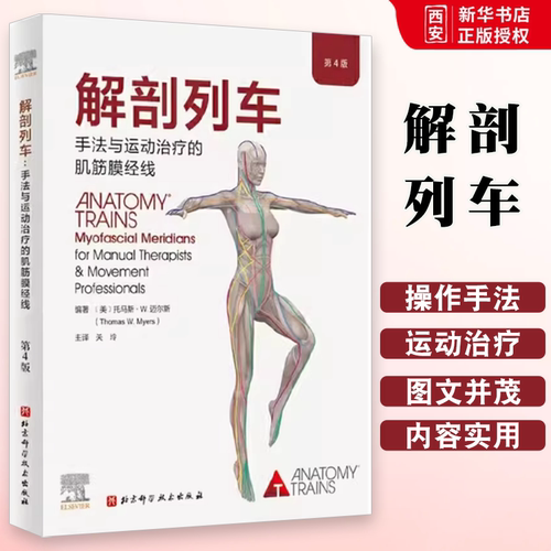 正版解剖列车 关玲 北京科学技术出版社 手法与运动治疗的肌筋膜经线  奈特人体解剖图谱医学基础教材书籍