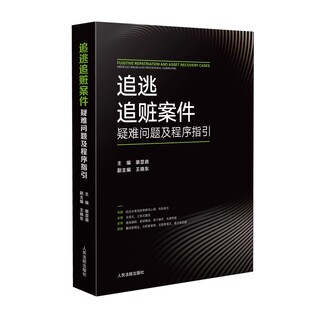 正版追逃追赃案件疑难问题及程序指引 人民法院出版社 办理追逃追赃案件流程操作指引步骤追逃追赃工作指导工具教材教书