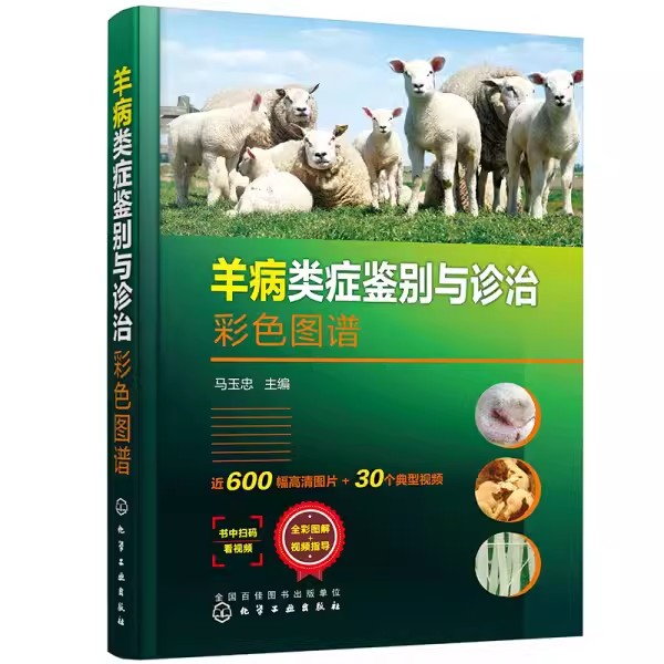 正版羊病类症鉴别与诊治彩色图谱 化学工业出版社 羊类生病治疗防治用药工具书 羊场兽医养羊专业大户收益相关师生指导书