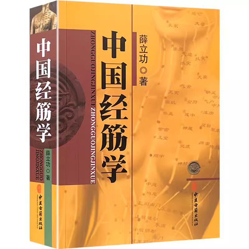 正版中国经筋学 薛立功 中医古籍出版社 筋络按摩书 筋骨书籍 人体全身经络穴位书籍