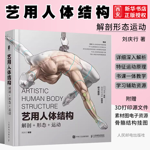 艺用人体结构解剖形态运动