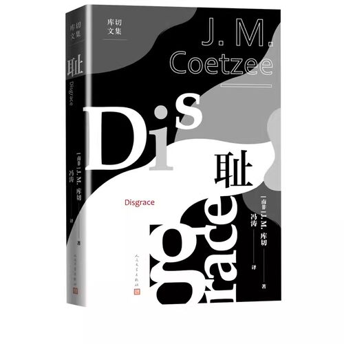 正版耻 库切 人民文学出版社 诺贝尔文学奖得主 库切代表作经久不衰的之作 全新译本经典布克奖  外国现当代文学小说书籍