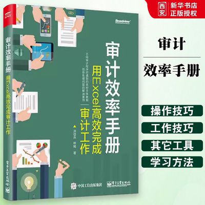 正版审计效率手册 用Excel高效完成审计工作 涂佳兵 电子工业出版社 详解如何利用excel组合工具提升审计效率 微软Office书籍